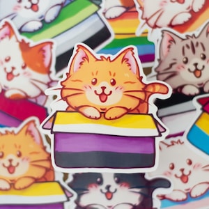 Può includere: Una collezione di adesivi colorati con gatti dei cartoni animati in scatole. Ogni scatola è decorata con una bandiera del pride diversa, tra cui le bandiere bisessuale, transgender e pansexuale.