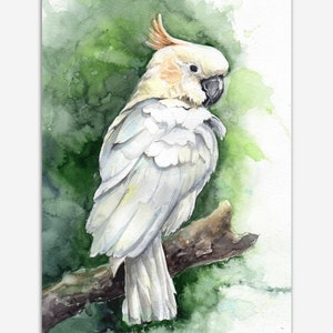 Cockatoo painting. Watercolor bird art. Parrot original painting. White parrot artwork. Tropical birds art for Cockatoo lovers.