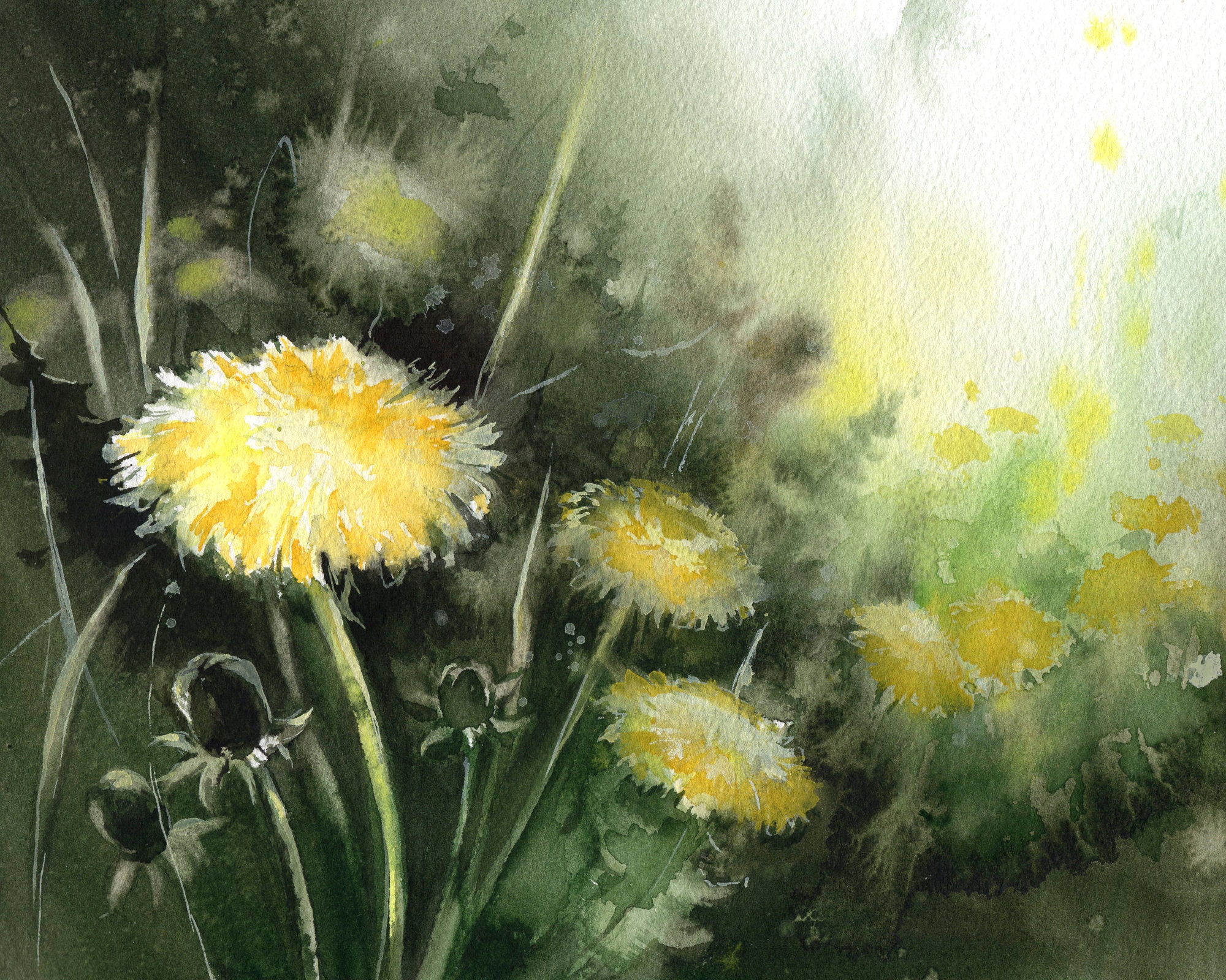 Artery8 Löwenzahn Blumen Kunstdruck | 18x24 Zoll (46x61 Cm) Gerahmt | Abstrakte Bunte Malerei | Für Wohnzimmer, Büro, Schlafzimmer