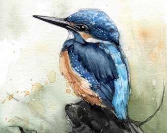 Kingfisher watercolor painting. Bird art. Original artwork. Beautiful realistic Kingfisher for Birds lover.