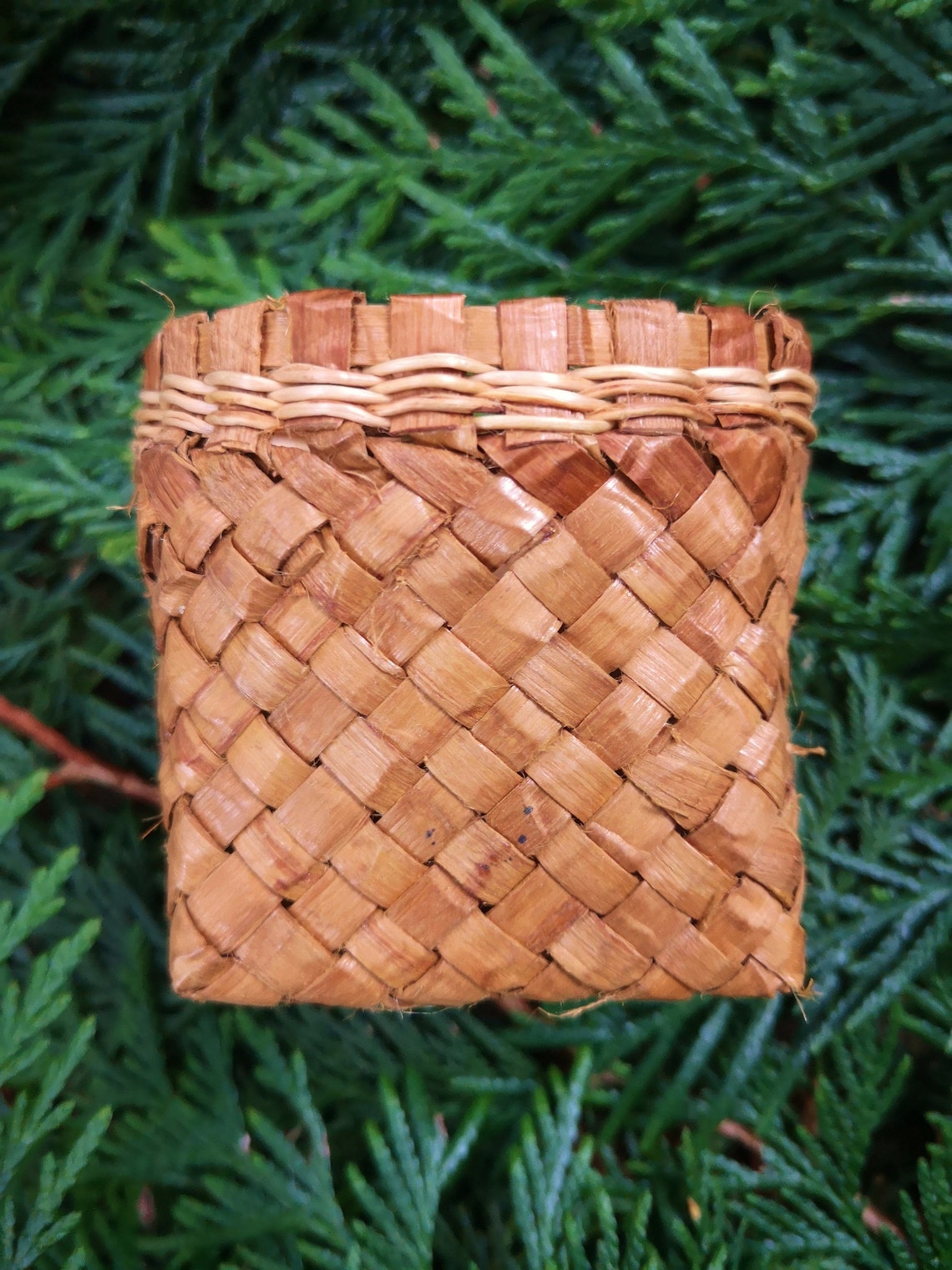 Cedar bark basket with cedar root rim Etsy