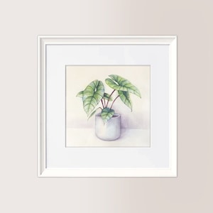 Pianta di Alocasia in vaso  | Acquerello Originale 23x23 cm, piante verdi, regalo festa della mamma