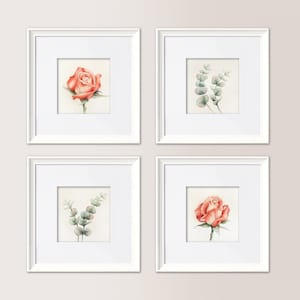 SERIE Boccioli Rosa + Eucalipto | 4 Acquerelli originali 13x13 cm, regalo festa della mamma, matrimonio, natale