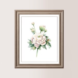 Ranuncolo Bianco | Acquerello originale 20x25 cm, regalo mamma, sposi, matrimonio, ranuncolo dipinto a mano