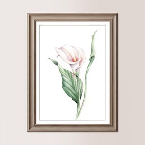 CALLA BIANCA | Acquerello originale 21x30 cm, regalo mamma, sposi, matrimonio, fiore bianco dipinto a mano