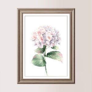 ORTENSIA BIANCA | Acquerello originale 21x30 cm, regalo mamma, sposi, matrimonio, fiore bianco dipinto a mano