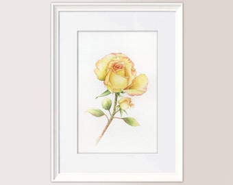 GELBE ROSEN | Original-Aquarelle 19 x 28 cm, Rosen, Knospen, Muttertagsgeschenk