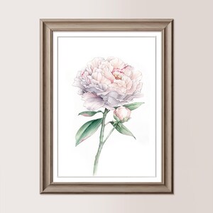 PEONIA BIANCO-ROSATA | Acquerello originale 21x30 cm, regalo mamma, sposi, matrimonio, fiore bianco dipinto a mano