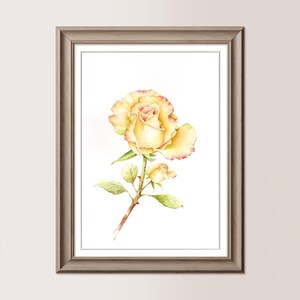ROSA GIALLA | Acquerello originale 19x28 cm, rose, boccioli, regalo festa della mamma, regalo amica o sposa