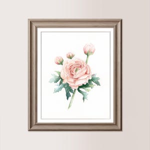 Ranuncolo Pesca | Acquerello originale 20x25 cm, regalo mamma, sposi, matrimonio, ranuncolo dipinto a mano