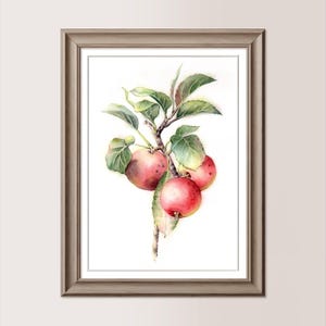 Ramo di Mele, var. 2 | Acquerello dipinto in originale, 21x30 cm, mele, frutta, regalo mamma, disponibile coppia abbinabile