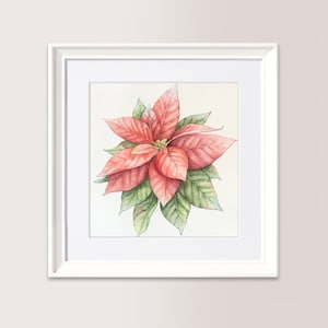 Stella di Natale 2 | Acquerello Originale 18x24 cm, Riproduzione vietata, Disponibile
