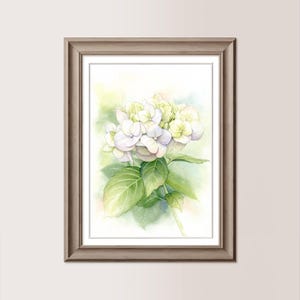 ORTENSIA Bianca  | Acquerello Originale 15x21 cm, regalo festa della mamma, sposa, delicato, colori sfumati verdi, fiore bianco