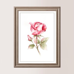 ROSE ROSSE (2 varianti) | Acquerelli Originali 19x28 cm, rose, boccioli, regalo festa della mamma, regalo amica o sposa