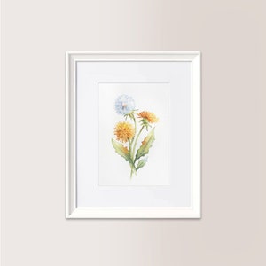 Dente di Leone (tarassaco) | Acquerello Originale 15x21 cm, fiori di campo, soffioni, fiore di radicchio