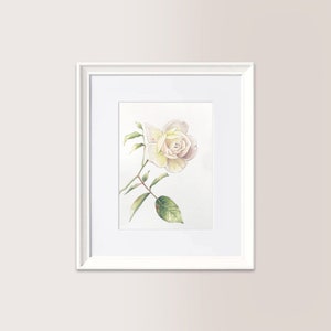 Piccola rosa bianca | Acquerello Originale 15x21 cm, rosa, fiore giardino, regalo