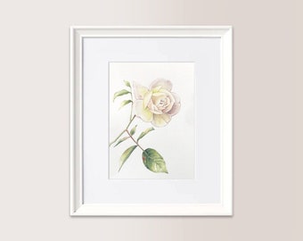 Petite Rose Blanche | Aquarelle originale 15 x 21 cm, rose, fleur de jardin, cadeau