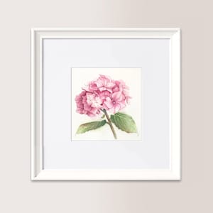 ORTENSIA Rosa | Piccolo Acquerello Originale cm 13x13 cm, disponibile in coppia con versione azzurra, regalo festa della mamma