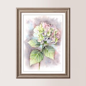 ORTENSIA SFUMATA 1 | Acquerello originale 26x36 cm, regalo mamma, matrimonio, amica, fiore dipinto in originale