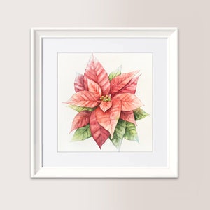 Stella di Natale 1 | Acquerello Originale 18x24 cm, Riproduzione vietata, Disponibile