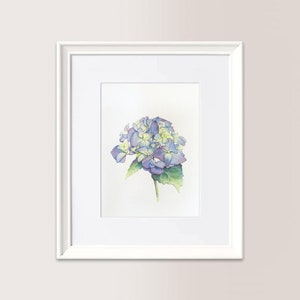ORTENSIA AZZURRA 2  | Acquerello Originale 15x21 cm. Disponibile. Riproduzione vietata, regalo festa della mamma