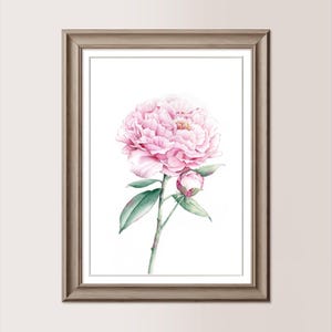 PEONIA ROSA | Acquerello originale 21x30 cm, riproduzione vietata, regalo festa della mamma, matrimonio, amica, fiore rosa