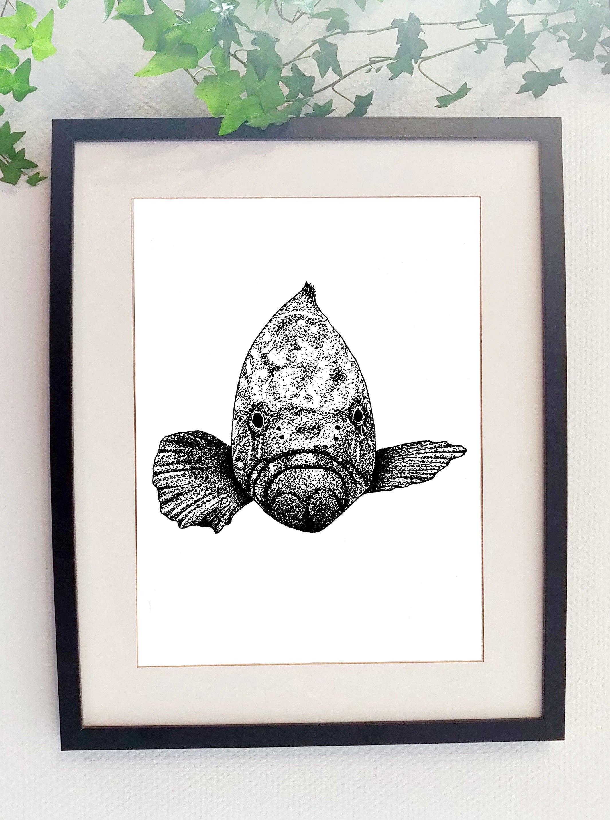 Affiche Mérou Print Merou Méditerranée Mediterranean Fish