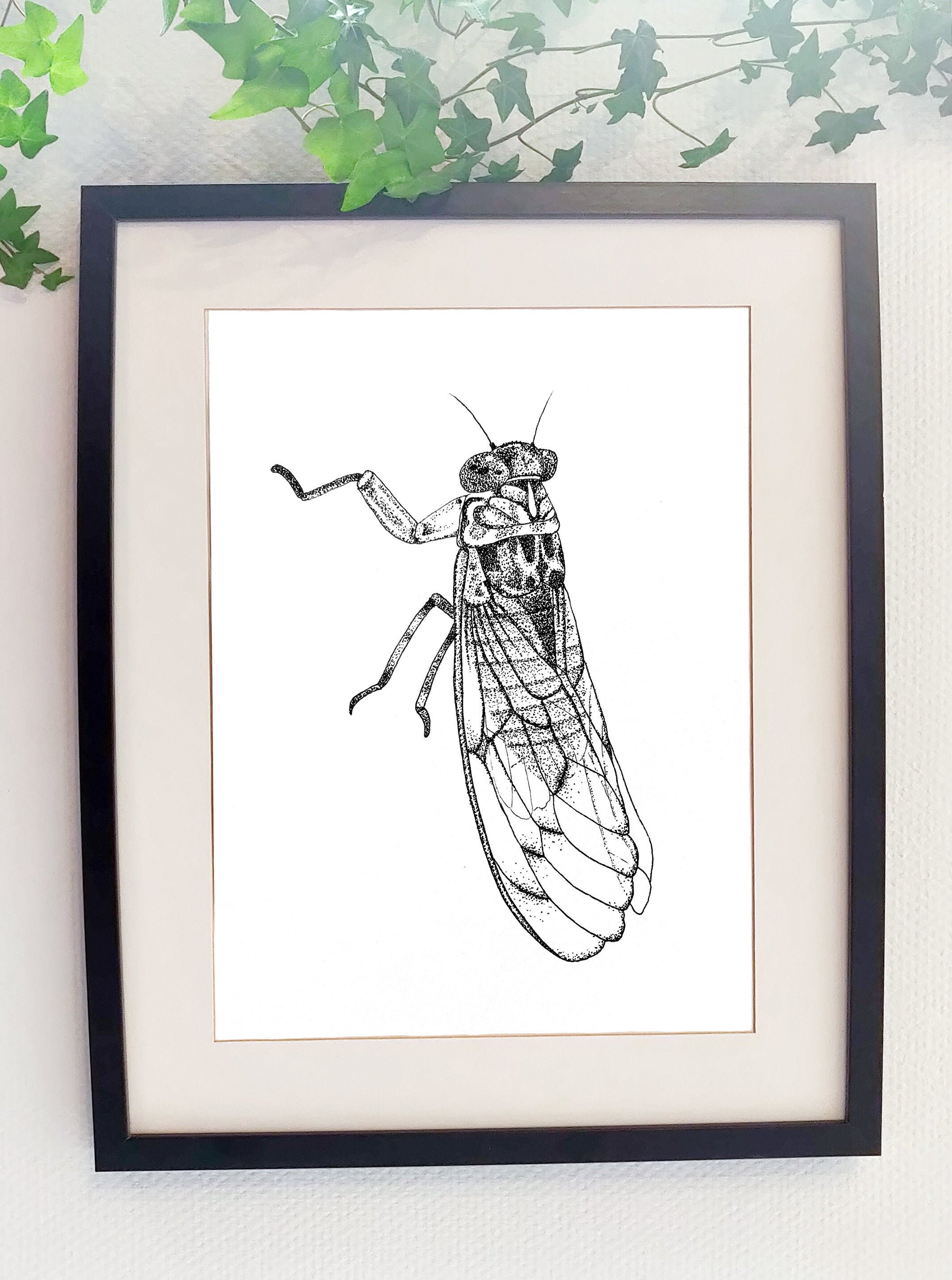 Affiche Cigale Print Cicada Provence