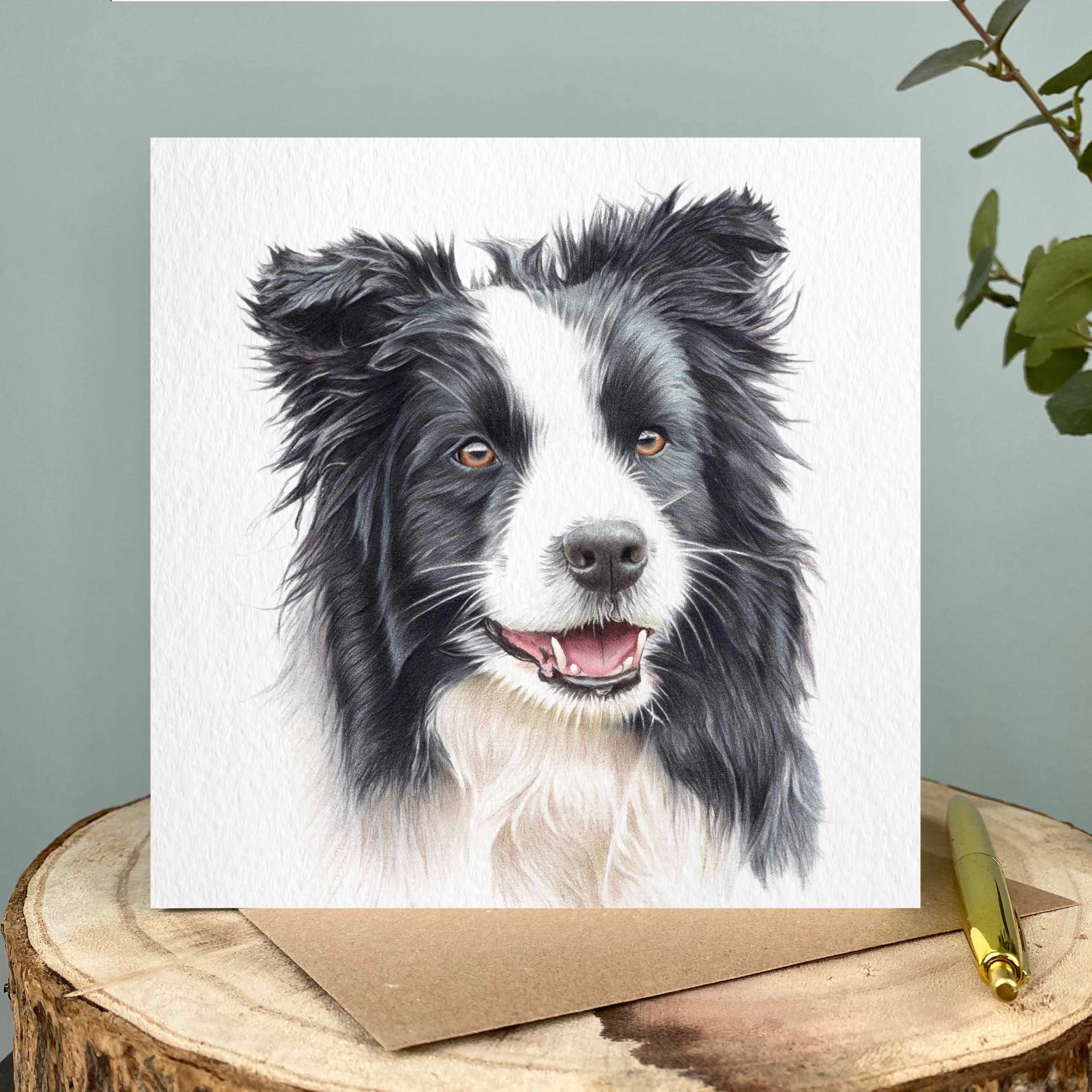 5 Things to Know About Border Collies - Petful