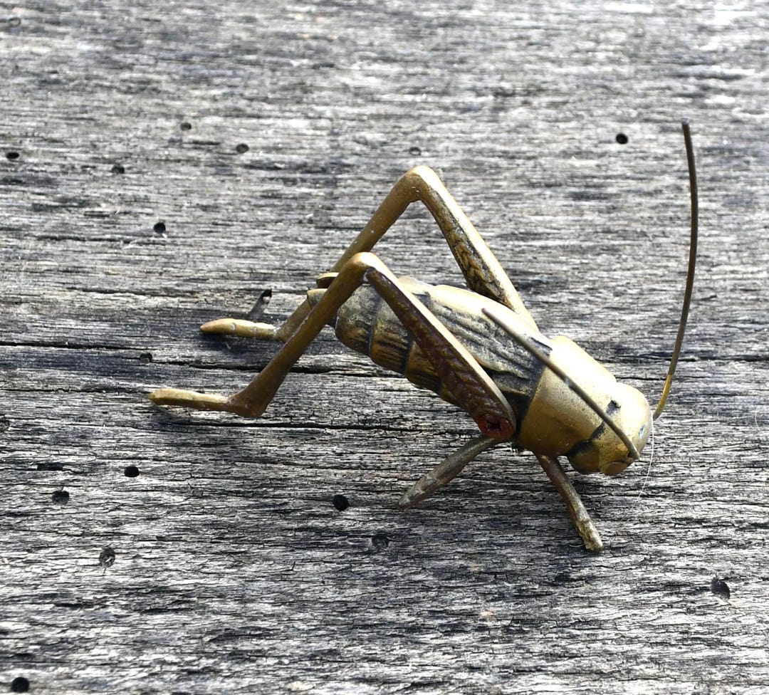 Vintage Solid Brass Grasshopper/locust Figurine/paperweight - Measures ...