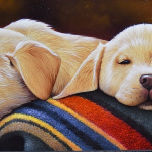 May include: Two golden retriever puppies are napping on a colorful striped blanket. The puppies are lying side by side, with one puppy's head resting on the blanket and the other puppy's head resting on the first puppy's back.