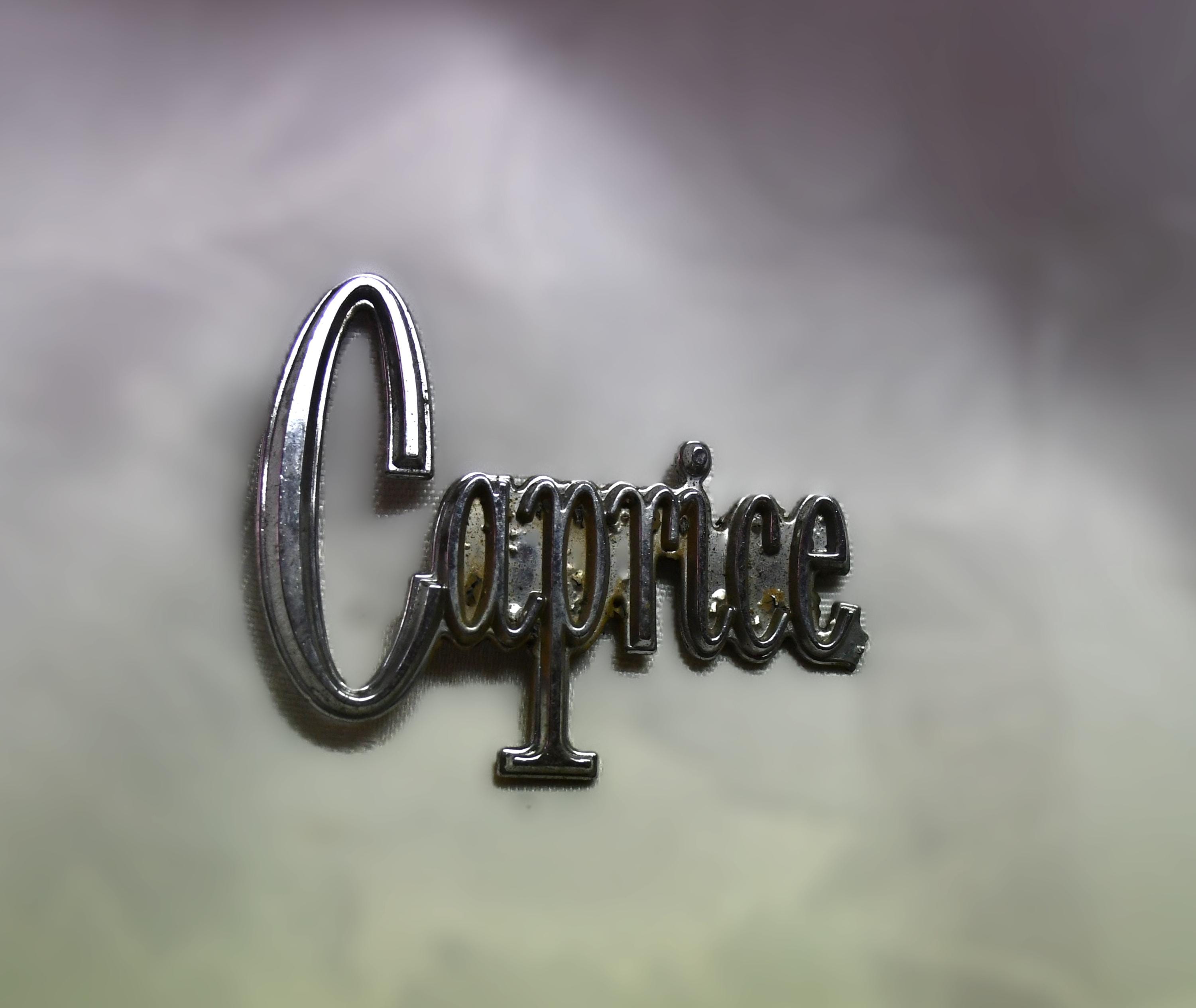 Chevy caprice emblem - Etsy 日本