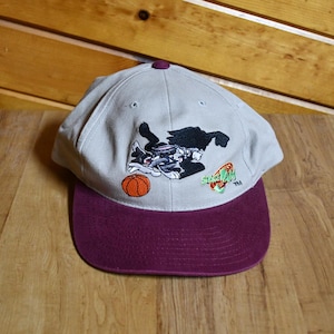 May include: A grey baseball cap with a purple peak. The cap has an embroidered design of Bugs Bunny playing basketball, with the words "Space Jam" in green and red.