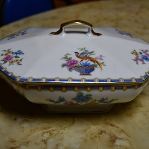 Antique-1930s MZ Altrohlau CMR Czechoslovakia/Golden Pheasants W/Pink & Blue Flowers/Hexagon Shaped Covered Serving Dish-Chantilly Pattern