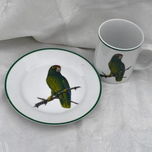 May include: White ceramic mug and saucer set featuring a green parrot illustration perched on a branch. The mug and saucer have a green trim. The parrot has a red head and yellow accents. The set is designed for serving beverages and snacks.