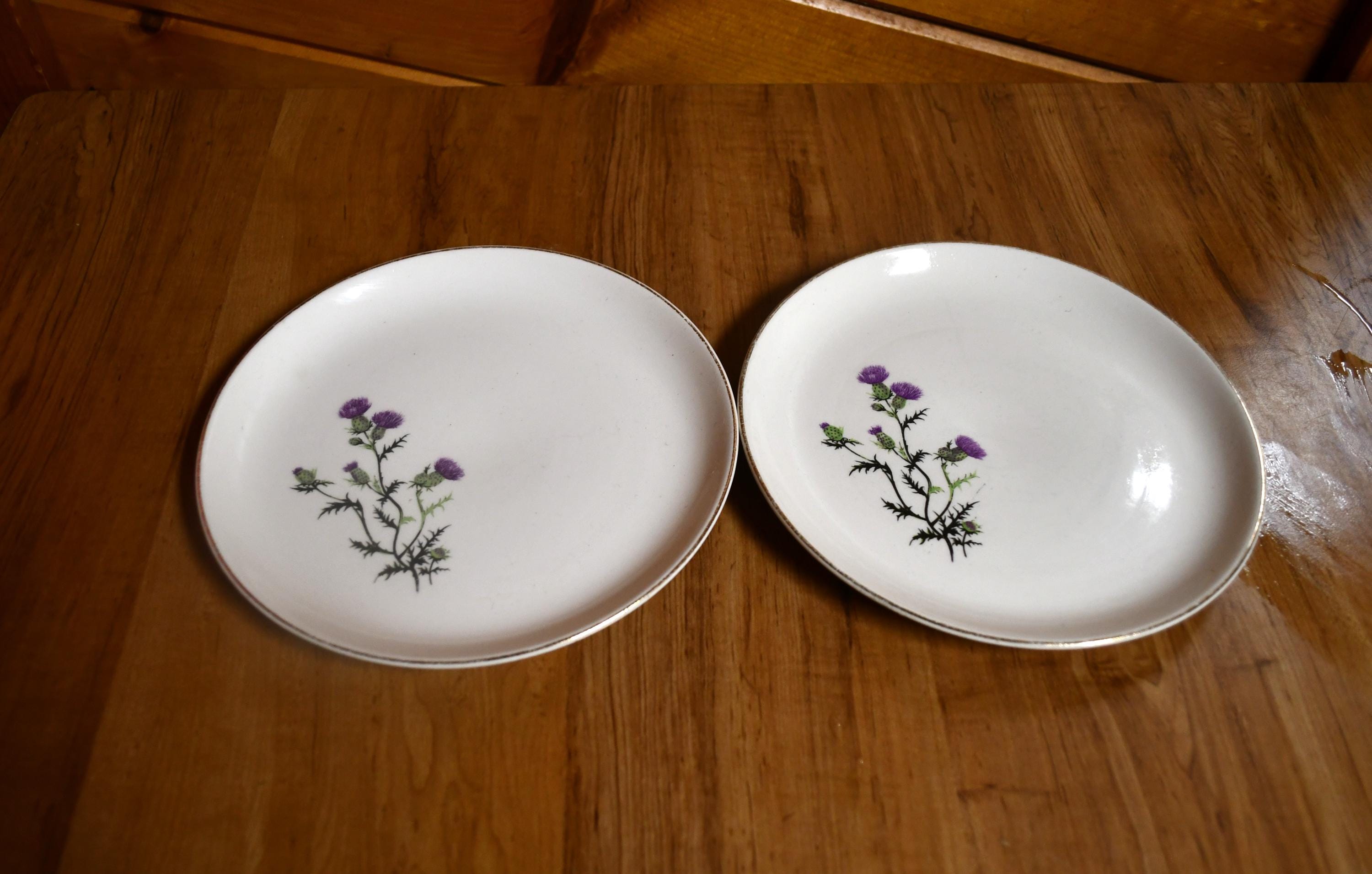 Pair of Vintage French Saxon China Saucers - Union Made USA 22 KT