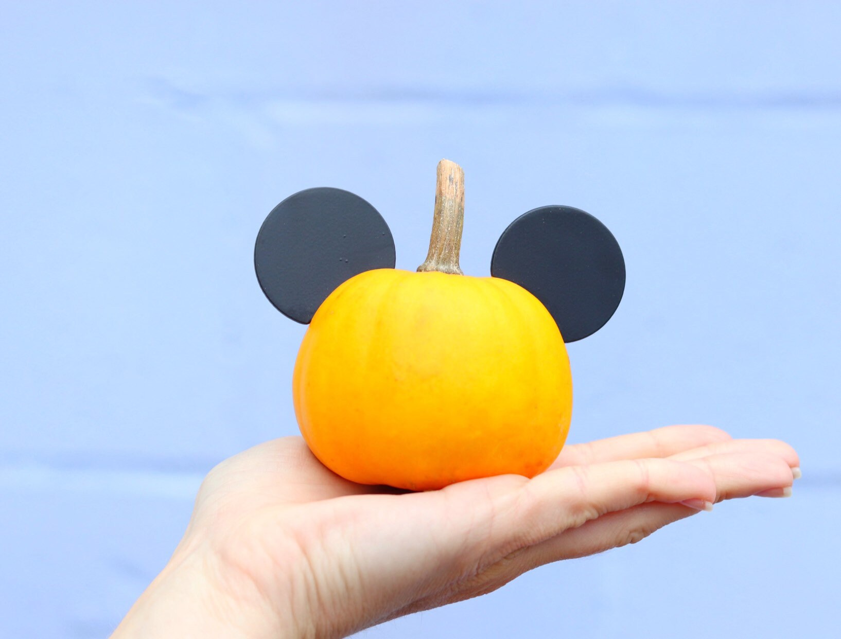 Mini Mouse Ears for Pumpkins