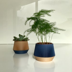 Può includere: Due piante in vaso in vasi blu e marroni. La pianta più grande ha foglie verdi lunghe ed è in un vaso blu con un bordo marrone. La pianta più piccola ha foglie verdi ed è in un vaso marrone con un bordo blu.