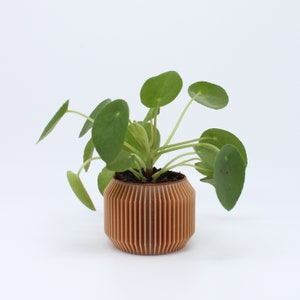 Plant pot