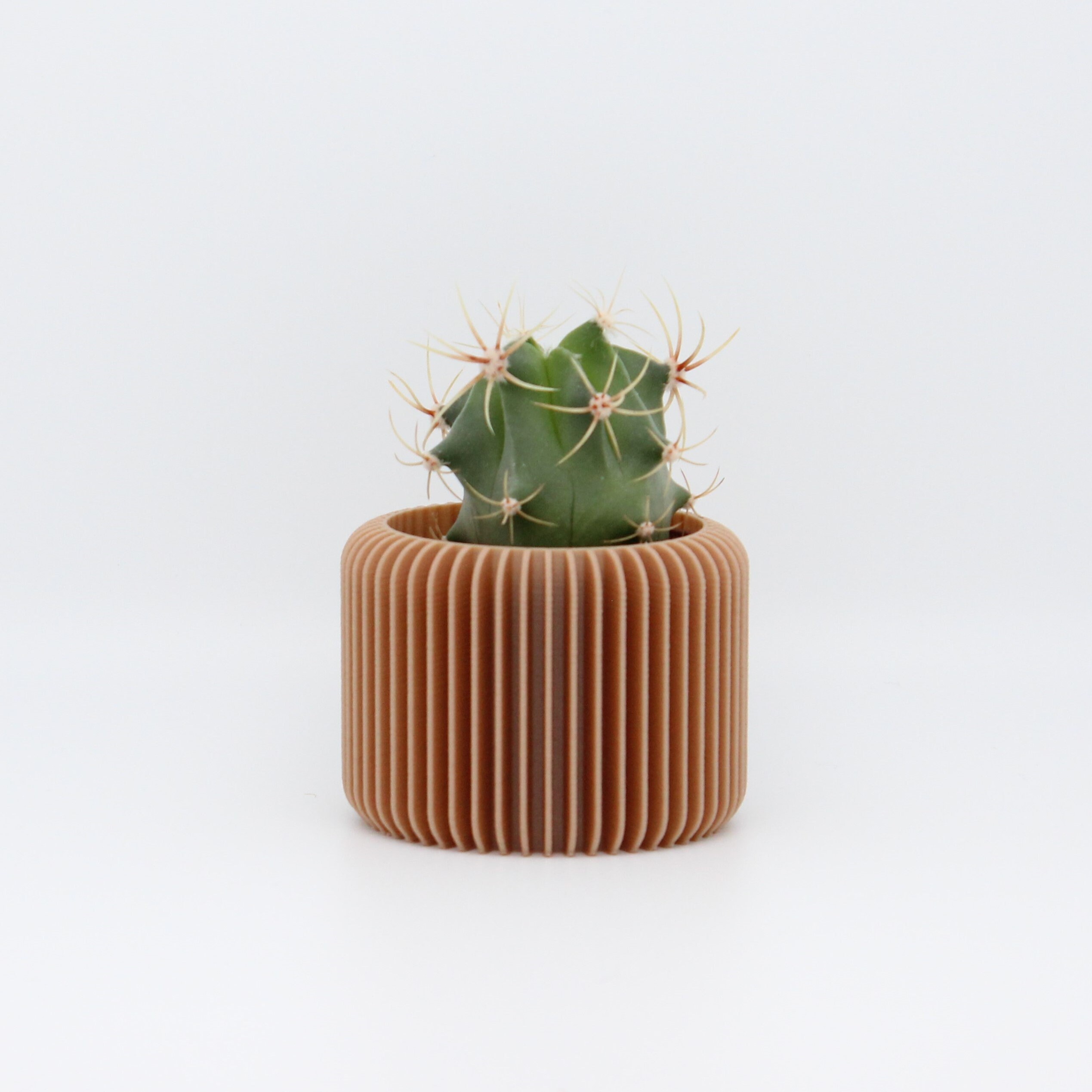 Cadeaux invités “Ma petite plante” - Bricolage - Le Blog - Bonne