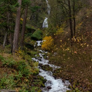 Wahkeena Falls - 2018 - Photography Print