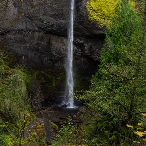 Latourell Falls - 2018 - Photography Print