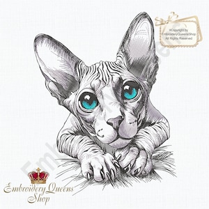 May include: A black and white line drawing of a Sphynx cat with bright blue eyes. The cat is lying down with its paws tucked under its chest. The image is on a white background.