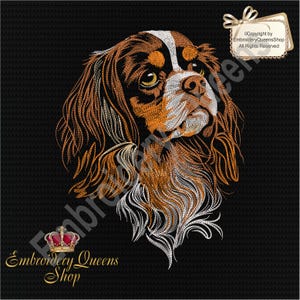 Puede incluir: Diseño bordado de un perro Cavalier King Charles Spaniel con pelaje marrón y blanco. El perro está mirando hacia arriba y hacia la derecha. El diseño está sobre un fondo negro. Copyright by EmbroideryQueensShop All Rights Reserved.