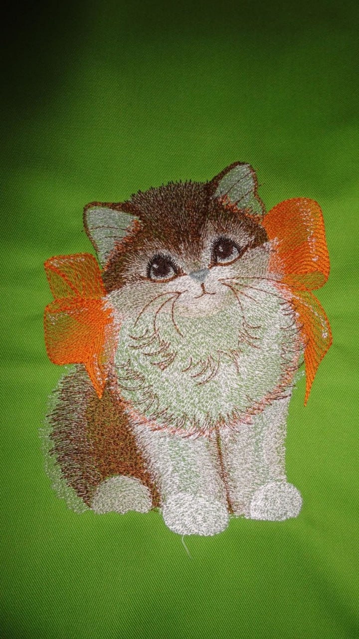 Cute Cat Machine Embroidery Design Blue Ribbon Kitten 3 Sizes to ...