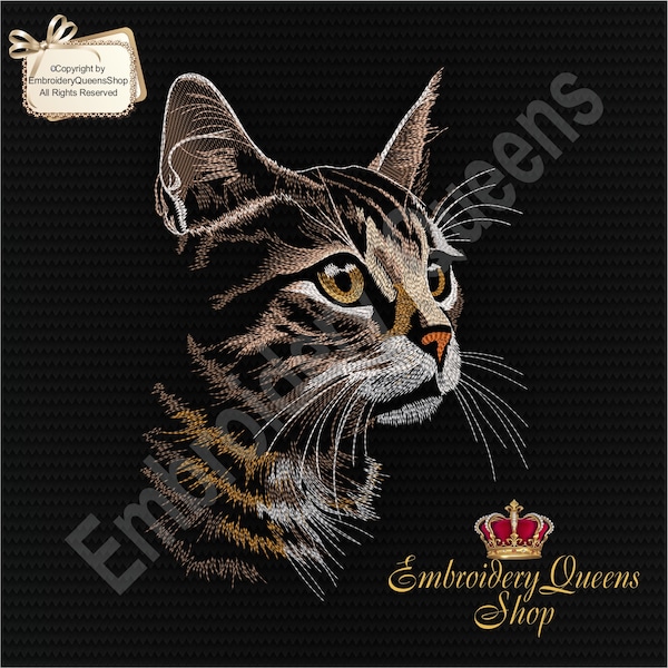 Gatto macchina ricamo Design Fluffy Cat 7 dimensioni da scaricare Misura 5x7" (130x180mm) cerchio e fino Cute Cat Face Felpa Tshirt Cuscino Trapunta