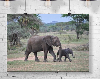 Nature Wildlife Photo Print ONLY Wall Art A4 African Sunset Elephants Poster