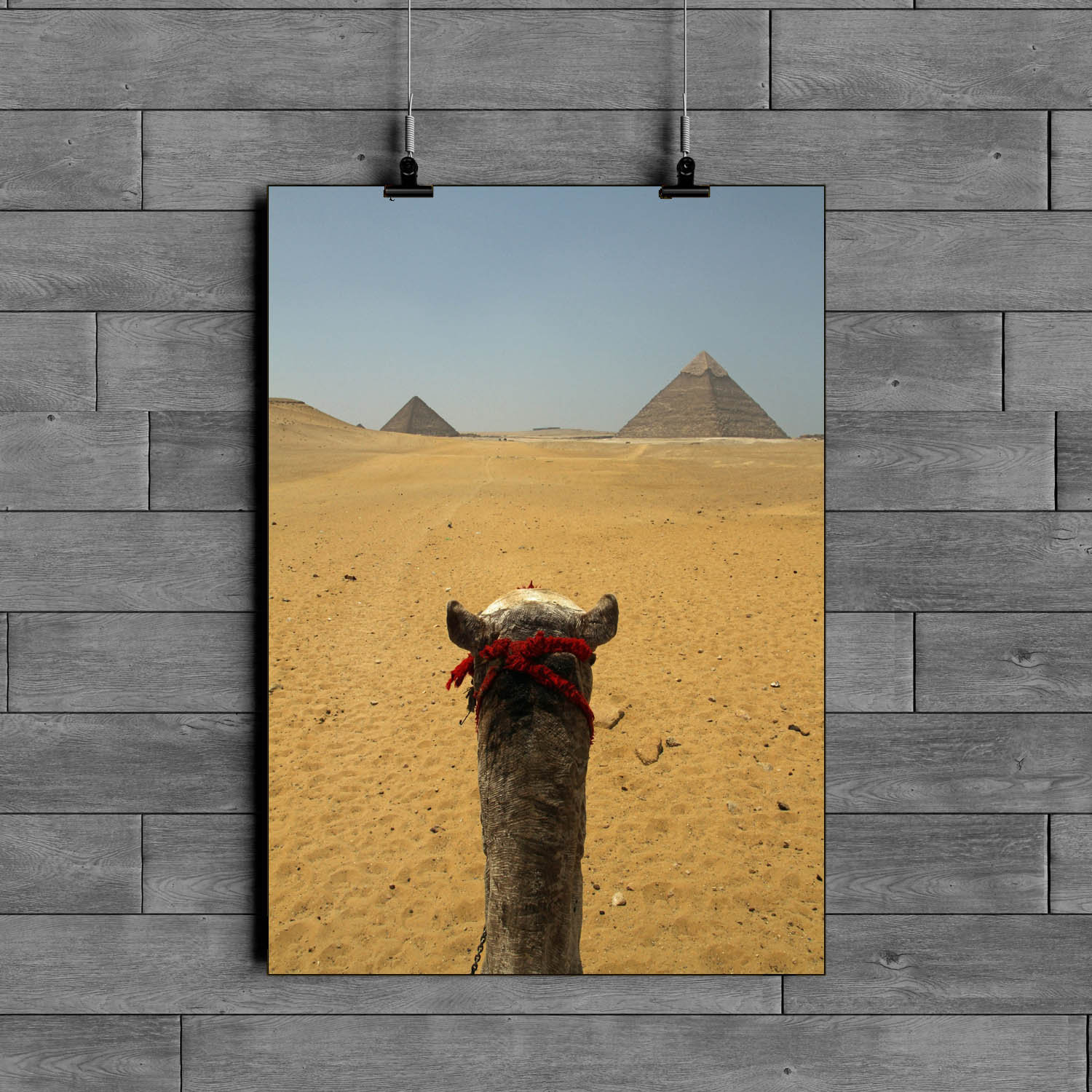 Home Decor Egypt Camel Caravan Moon Giza Pyramid Wall Sticker Art 3d Poster Decal Mural Rj0 Ce