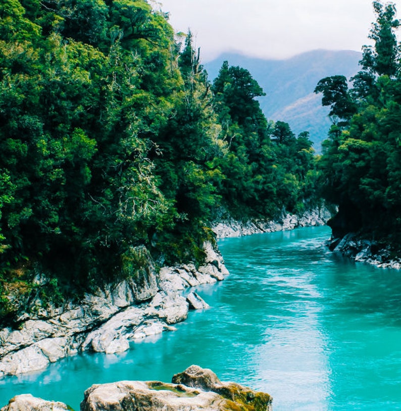 Il Fiume Della Vita Rio Delle Amazzoni
