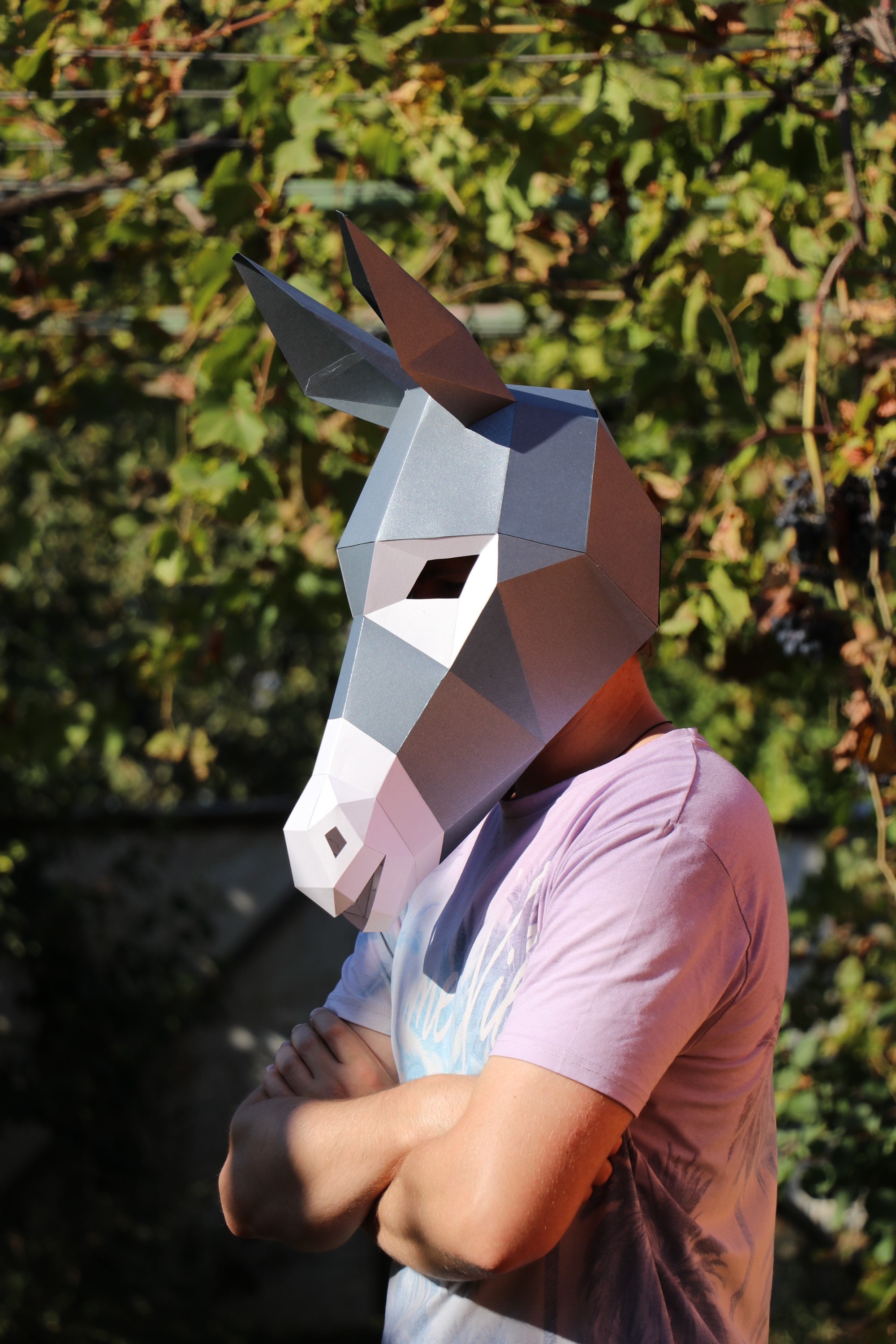Donkey Mask DIY, Low Poly Mask, Paper Craft Mask, Pdf Template 3D Mask -  LACRAFTA